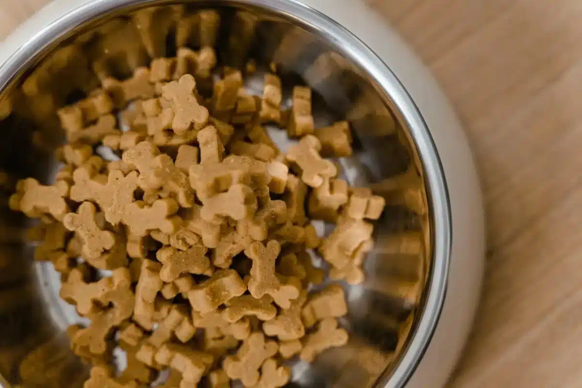 BHJ-Challenge Small dog bone-shaped treats in a silver pet bowl on a wooden surface.